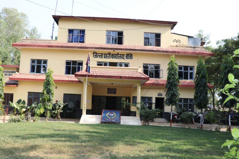घरेलु तथा लैंगिक हिंसाका मुद्दाहरु कोरोनाको कारण ओझेलमा