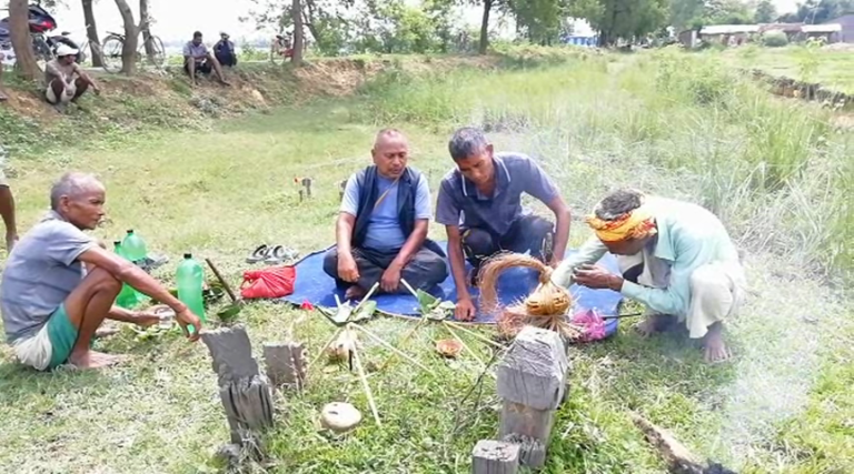 थारु समुदायमा धमाधम हरेरी पुजा
