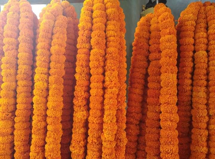 तिहारमा १४ करोडको फुलमाला बिक्री