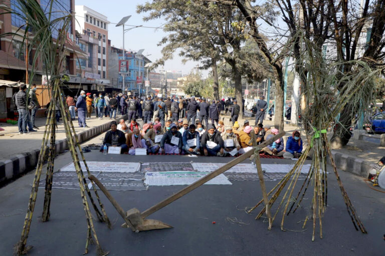 १५ दिनदेखि सडकमा उखु किसान : नेकपा विवादले आन्दोलन ओझेलमा