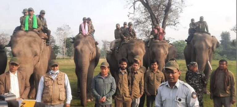 बर्दियामा बुधबारबाट गैंडा गणना शुरु