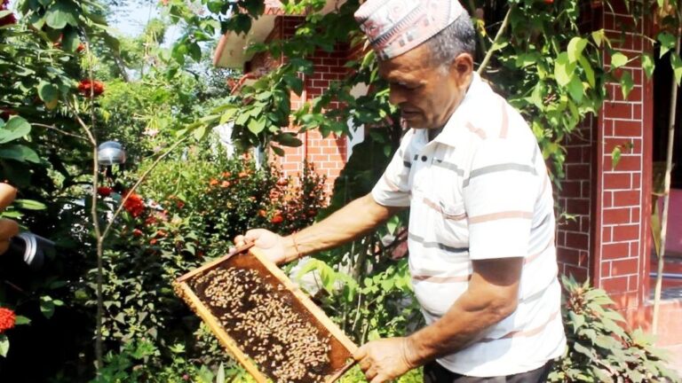 मौरीपालन गरेर वार्षिक साढे चार लाख रुपियाँ मुनाफा