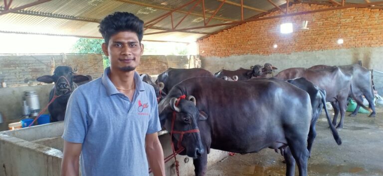 कृषि पढेका गौतम रोकाको रहर लाग्दो भैसीपालन फार्म