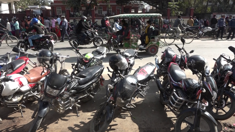 जेब्रा क्रसिङ्गमै पार्किङ्ग