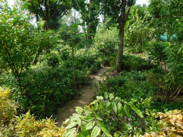 बुवाको सपना पुरा गर्दैछु : कृषक पन्त