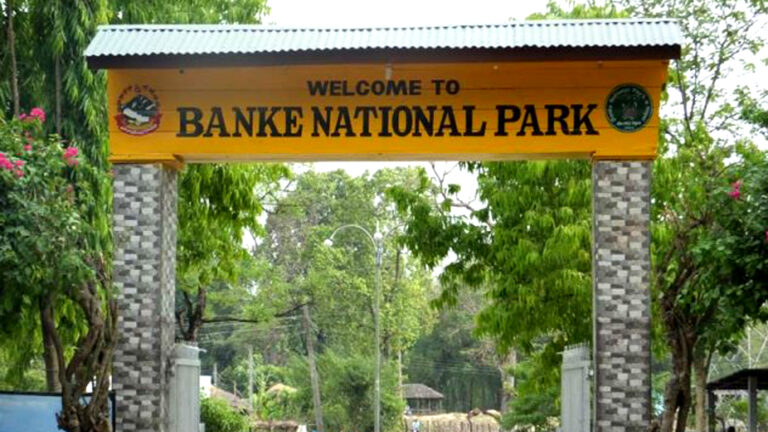 बाँके राष्ट्रिय निकुन्जमा भिटिआर सिस्टम जडान