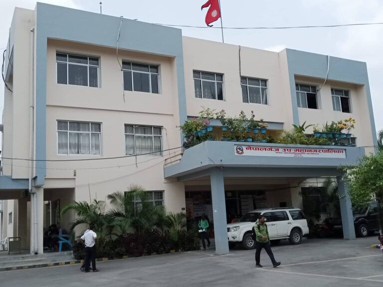 उपमहानगरपालिकद्धारा सफल व्यवसायीलाई नगद सम्मान