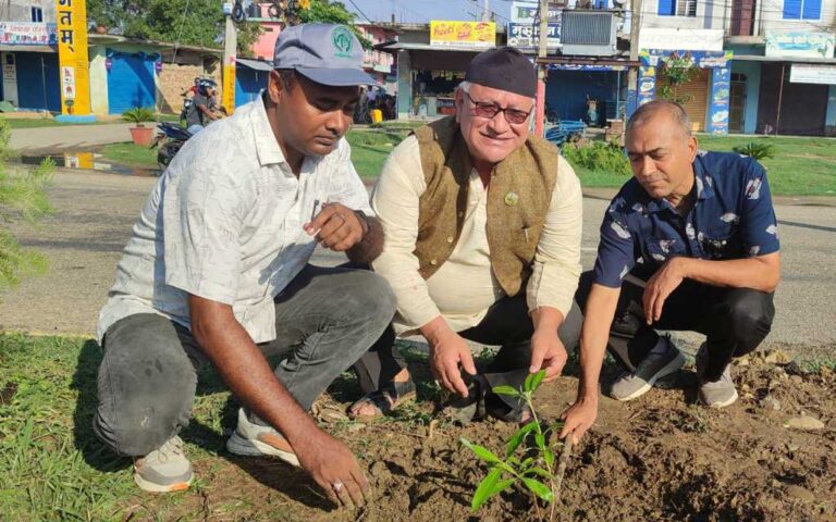 नेपालगन्ज–कोहलपुर सडक खण्डमा बृहत बृक्षारोपण