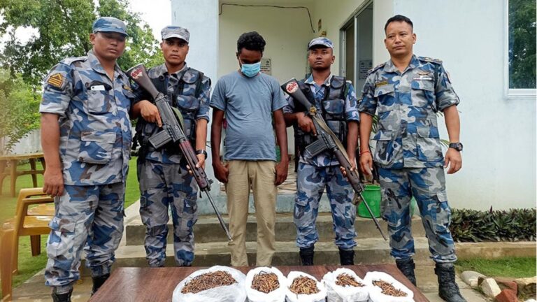 बर्दियामा ३९ लाख बराबरको यार्सागुम्बासहित एक जना पक्राउ