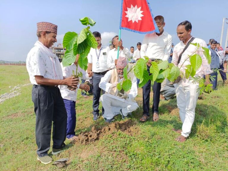 आठौ संविधान दिवस नरैनापुरमा सरसफाइ तथा बृक्षारोपण