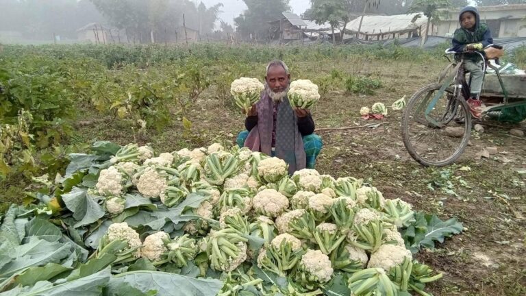 नरैनापुर नयाँ बस्तीका किसानहरु मौसमी तथा बेमौसमी खेती तर्फ आकर्षित