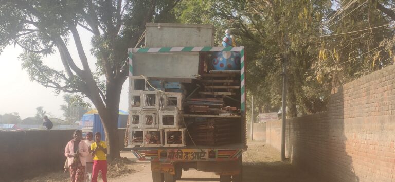 बाल उद्यान महोत्सव परिसरमा, आजैबाट जडान कार्य सुरु