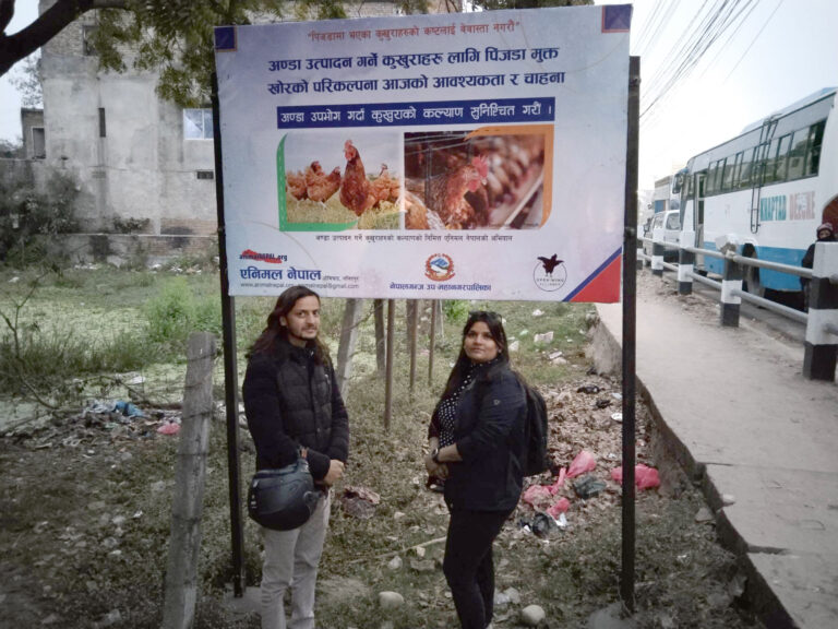 अण्डा उत्पादन गर्ने कुखुराहरुको कल्याणको निमित्त नेपालगन्जमा होडिङ बोर्ड