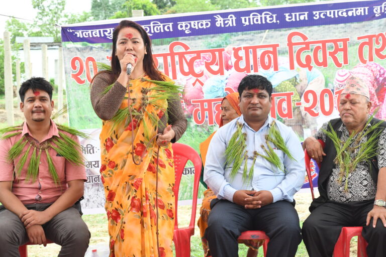 खजुरामा मनाईयो धान दिवस (फोटो फिचर सहित)