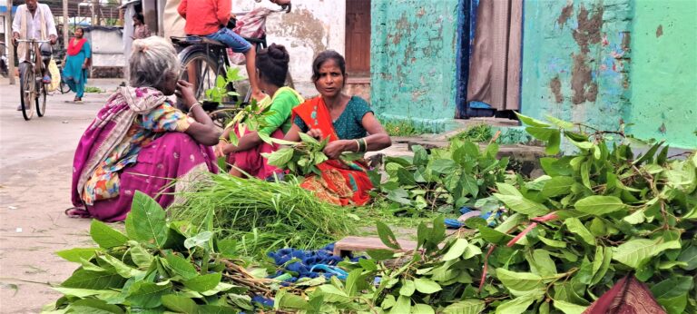 नेपालगन्जमा टाँगा चल्न छाडेपछि घाँस बिक्रि हुन छाड्यो