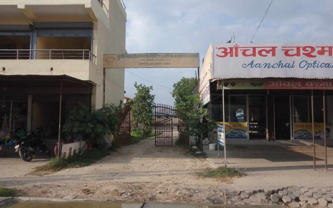 कृषि सामाग्री कम्पनी धनगढीको सटरमा व्यापारीको रजाइँ