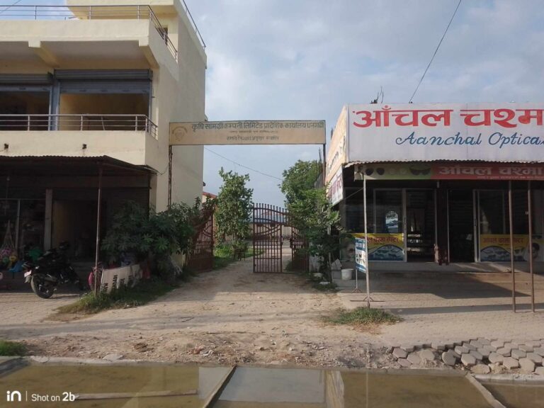 कृषि सामाग्री कम्पनी धनगढीको सटरमा व्यापारीको रजाइँ