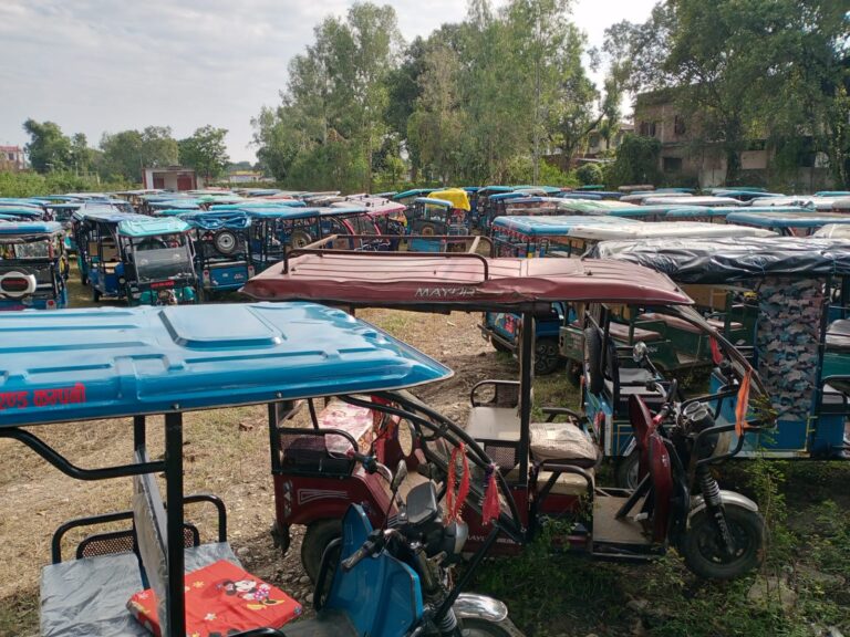 रातो प्लेटमा सवारी बोक्ने इ–रिक्सा धमाधम नियन्त्रणमा