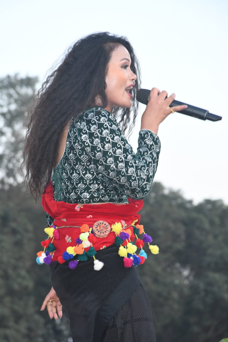 प्रिती आलेको चर्चित चर्चित गीतमा झुमे बैजनाथ महोत्सबका दर्शक