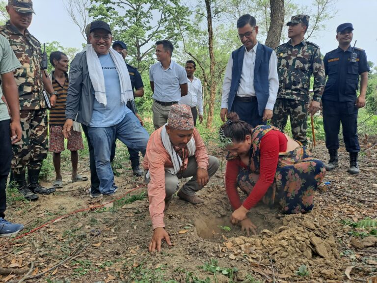 बाँकेमा विश्व वातावरण दिवसको अवसरमा वृक्षारोपण