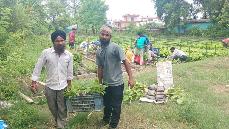 ५ लाख २९ हजार ७ सय बिरुवा उत्पादन गरि निशुल्क वितरण कार्य सुरु