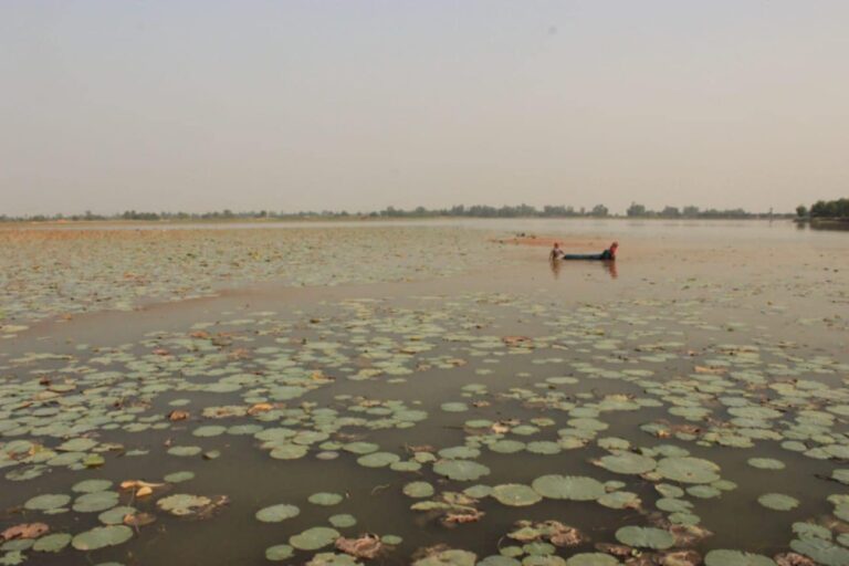 बढैयातालमा माघ १५ गतेदेखि २५ गतेसम्म महोत्सव हुँदै