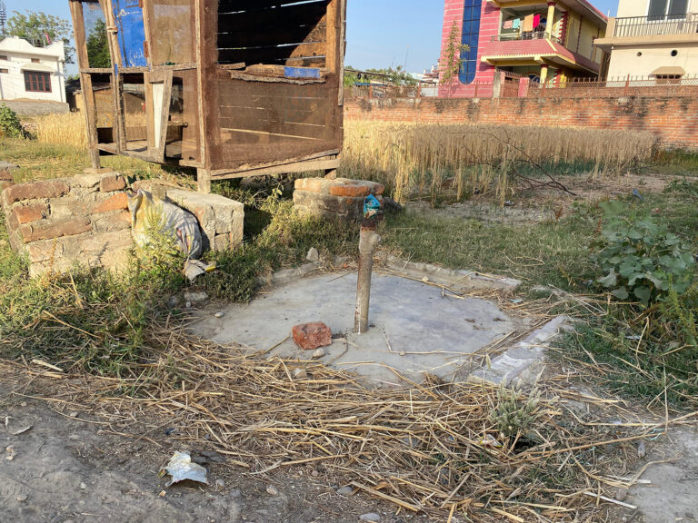 ताल मासिंदा गहिरिएको पानी संकट