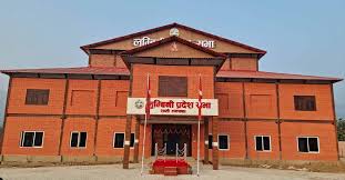 सदस्यकै लगानीमा बनाइएको पोषाक गायव