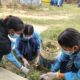 विश्व वातावरण दिवसमा सरसफाई र बृक्षारोपण